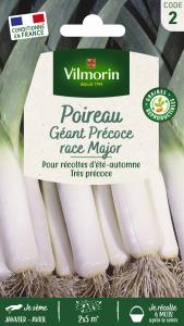 Poireau Géant Précoce race Major